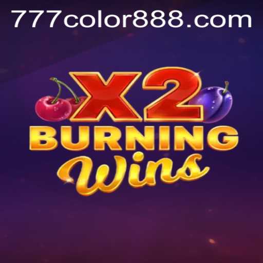 Exploring the Features and Mechanics of BurningWinsX2